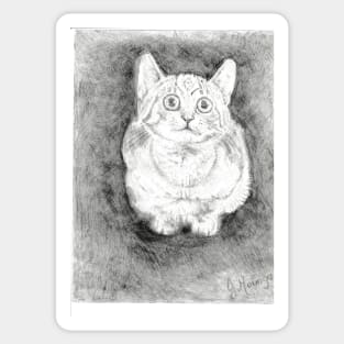 Hypo realistic crouching cat Sticker